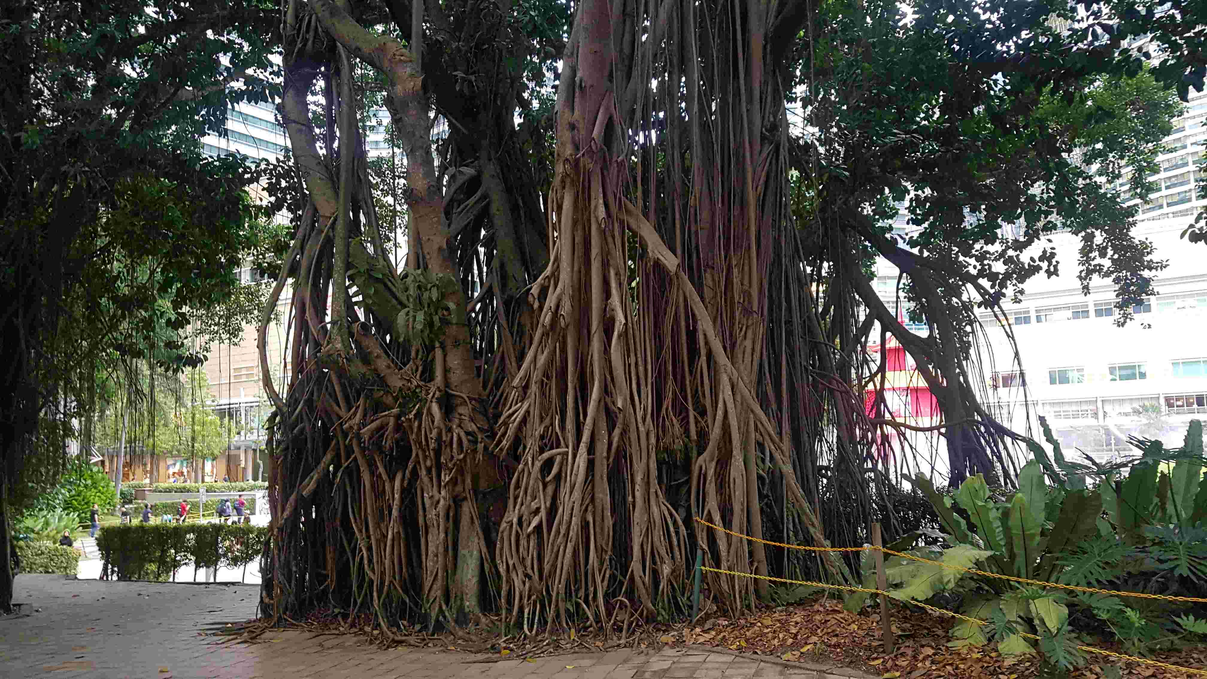 Differential Equations