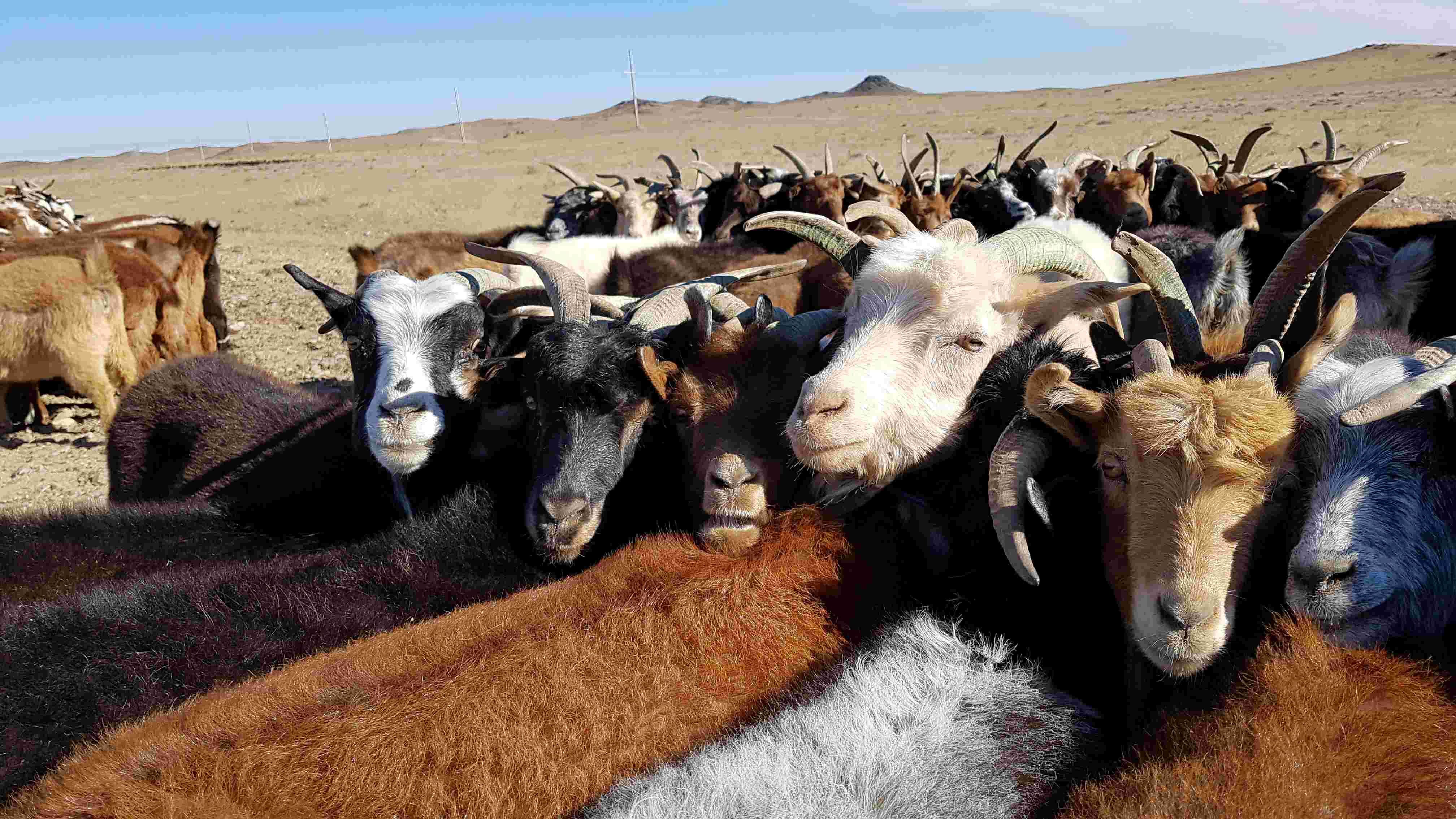 The Inverse Function