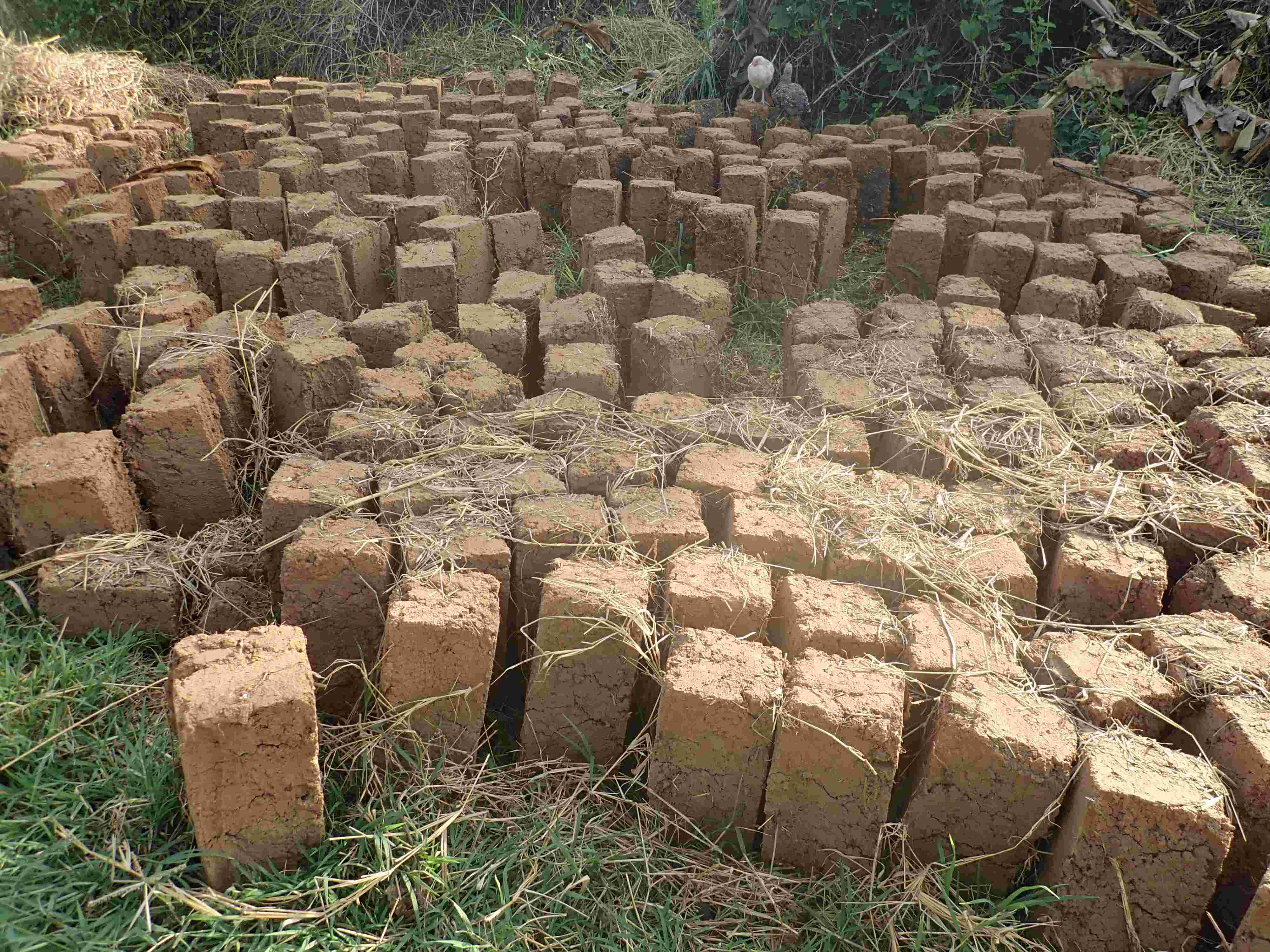 Measures of central tendency and spread 