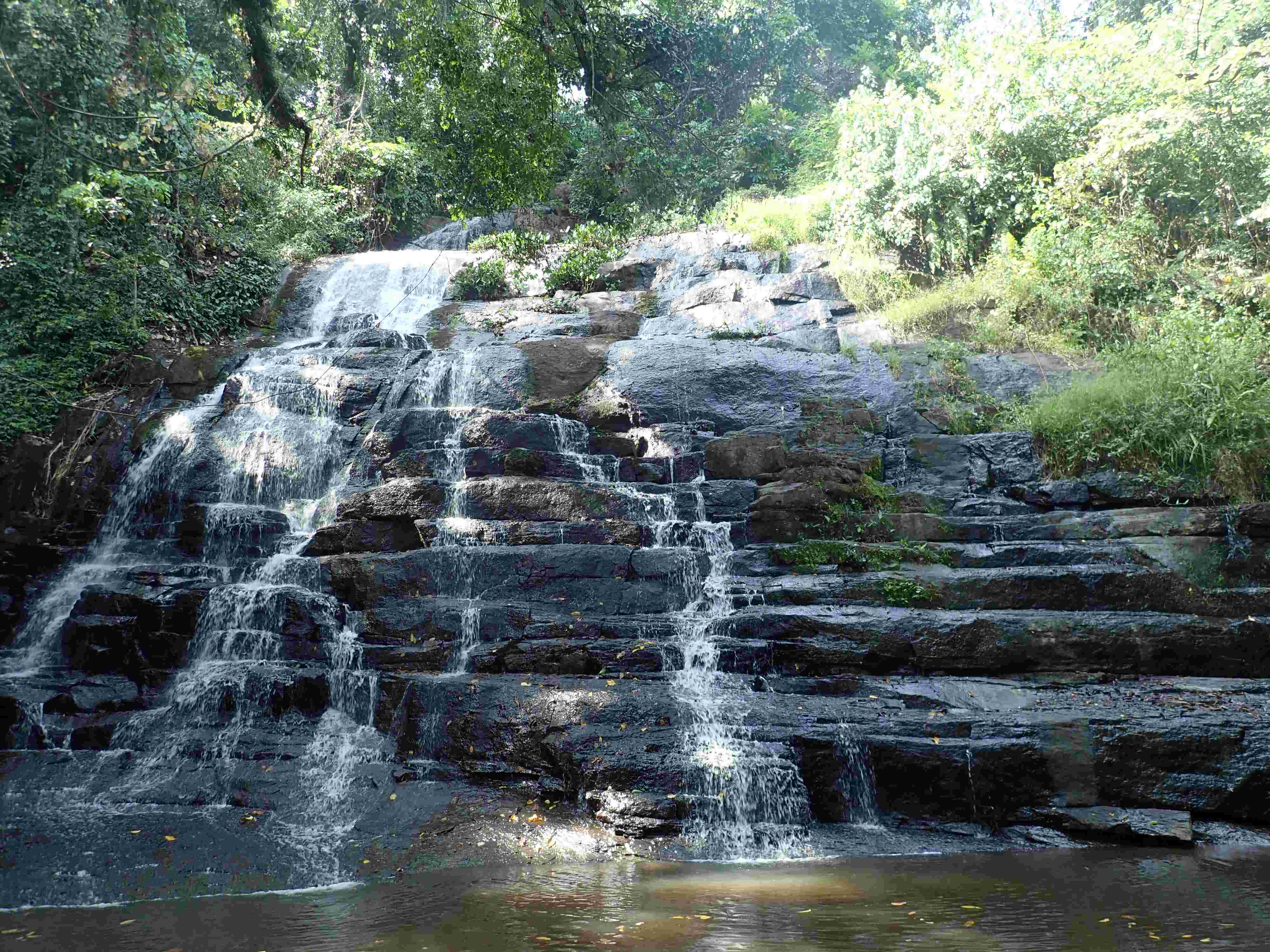 Basic Concepts of Statistics