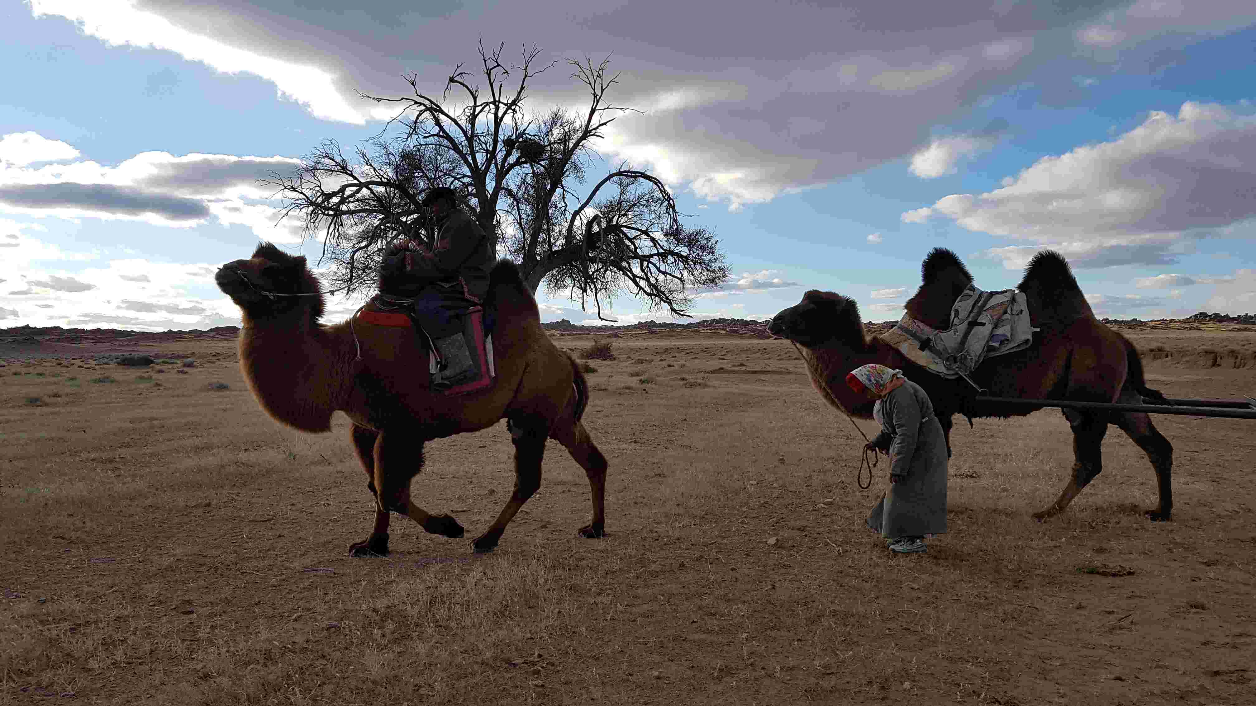 Trigonometric Functions