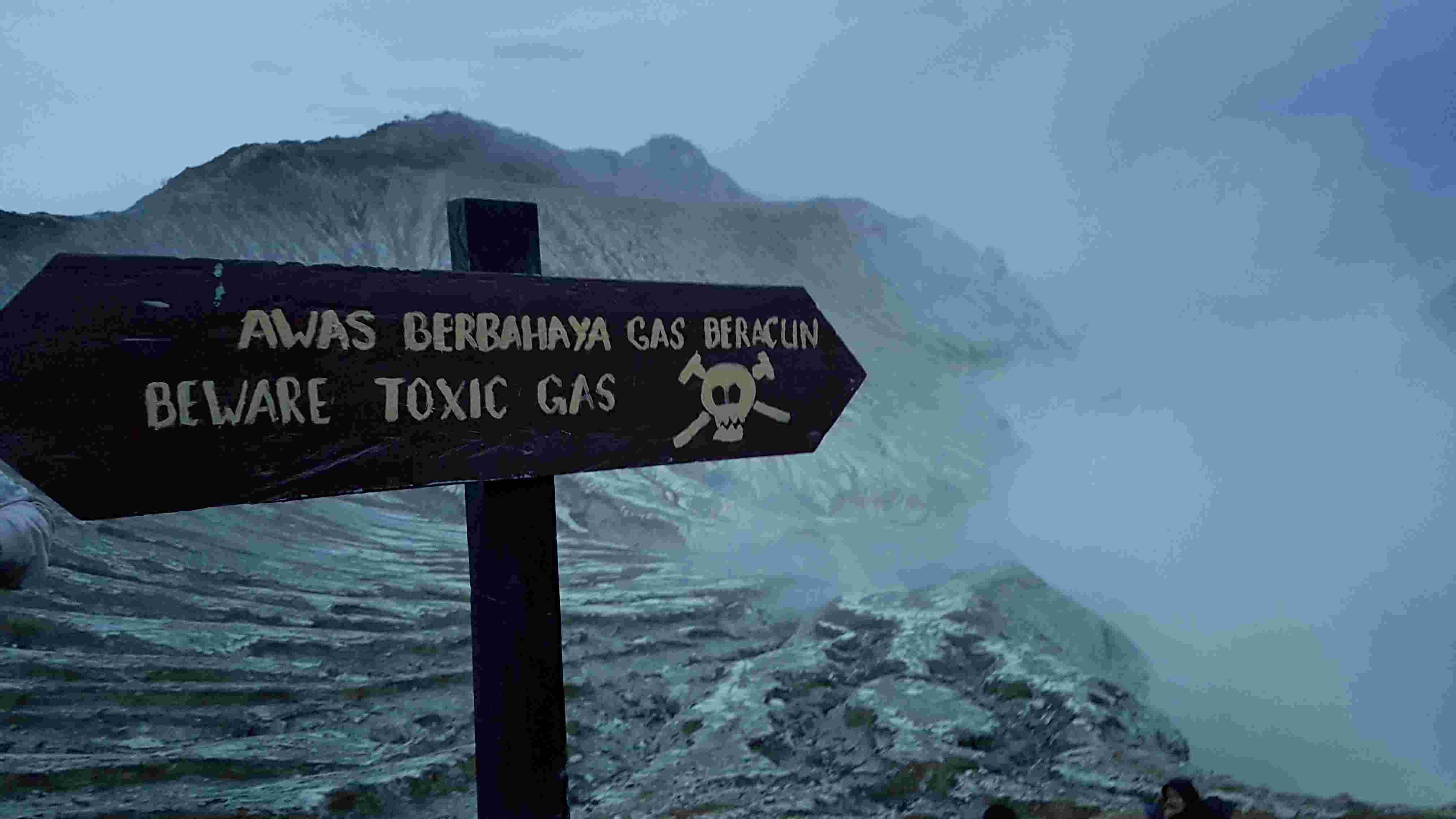 Vectors – The basic principles